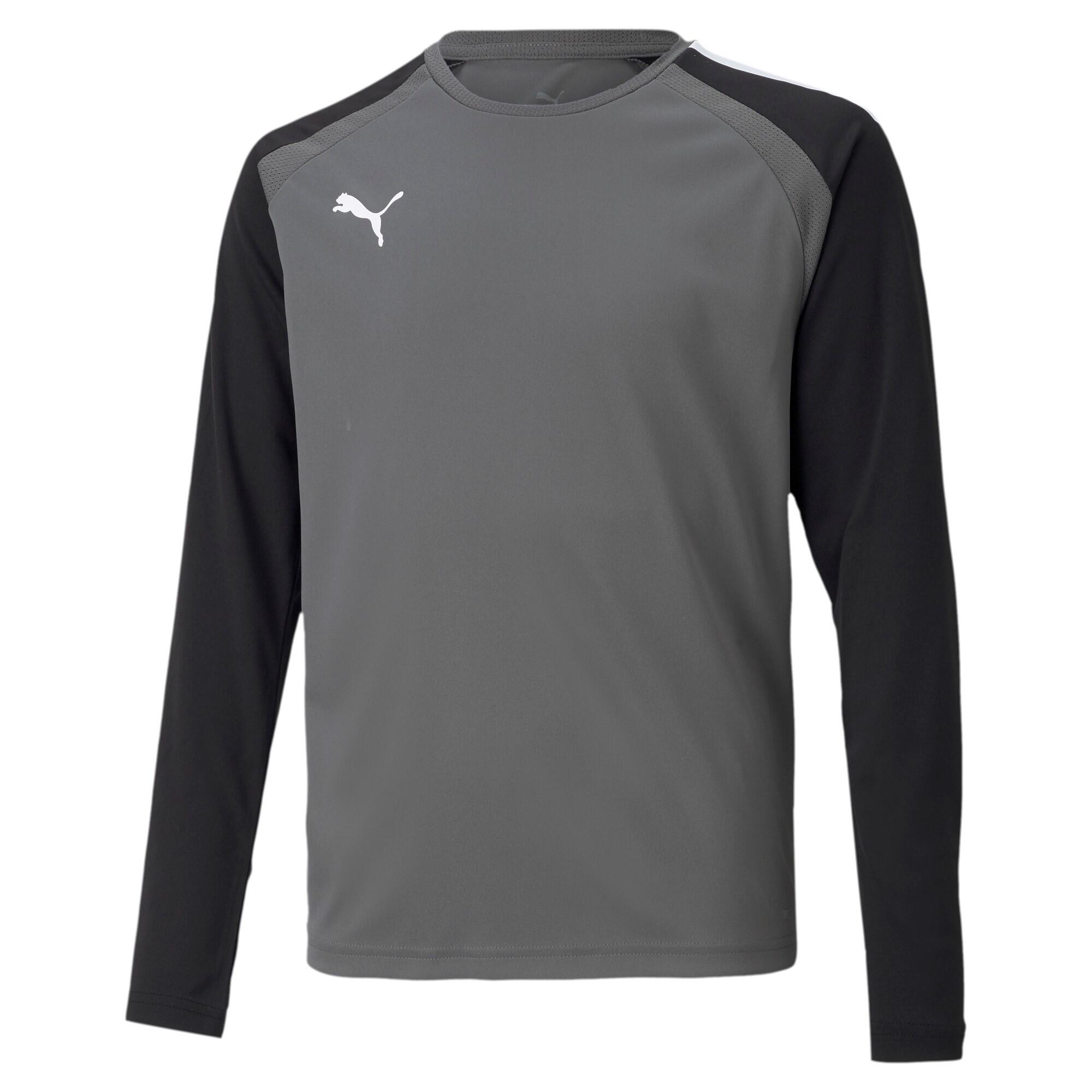 PUMA picture