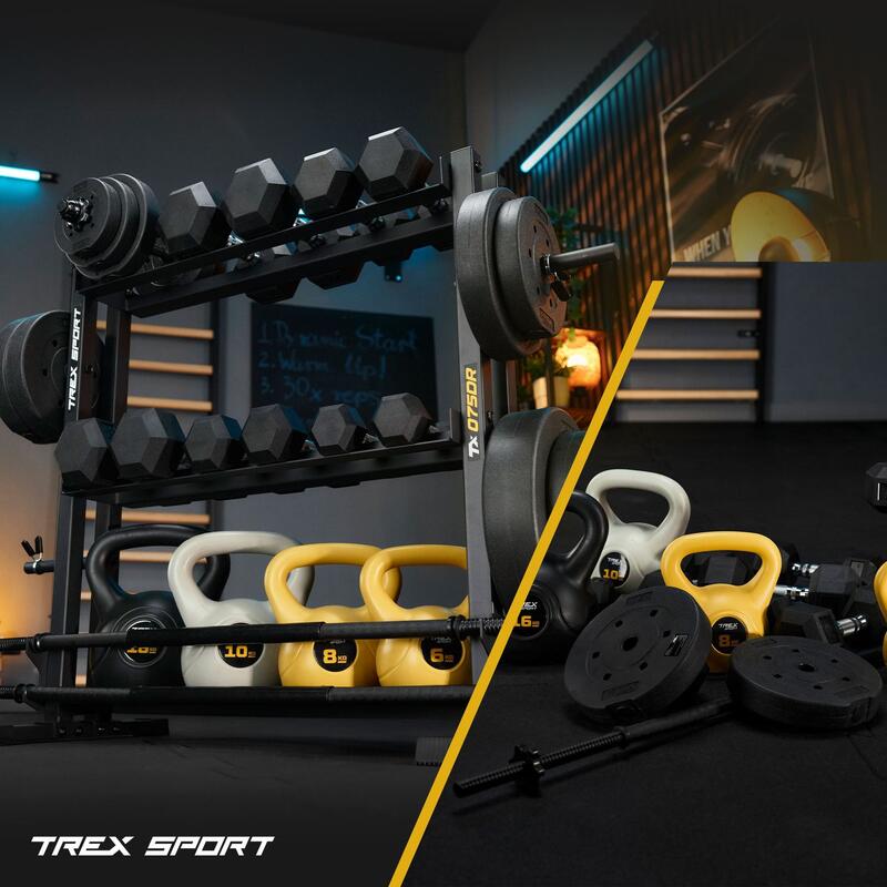 Suport gantere greutăți bare Trex Sport TX-075DR 3 rafturi 690kg
