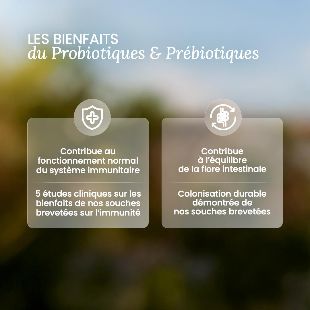 Probiotiques & Prébiotiques - 60 Milliards d'UFC - 60 gélules 6/7