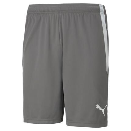 Puma Teamliga Shorts 13 Volwassenen