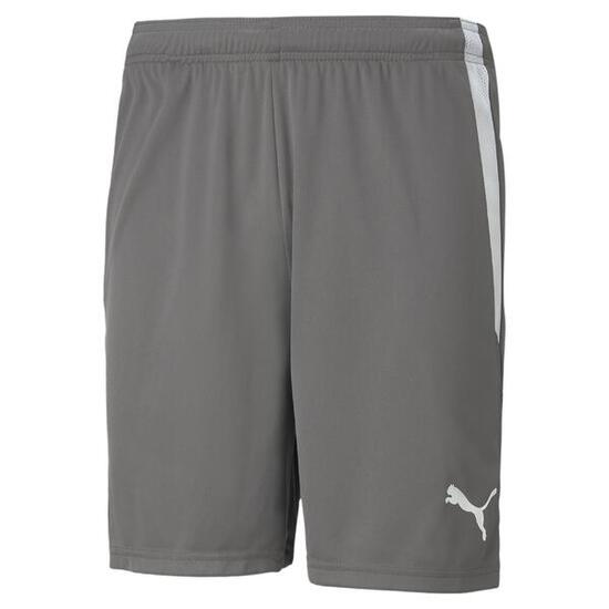 Puma Teamliga Shorts 13 Volwassenen