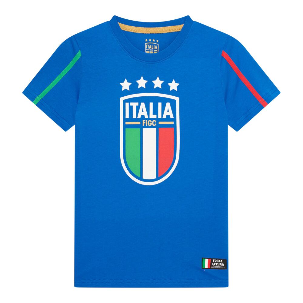 FIGC picture
