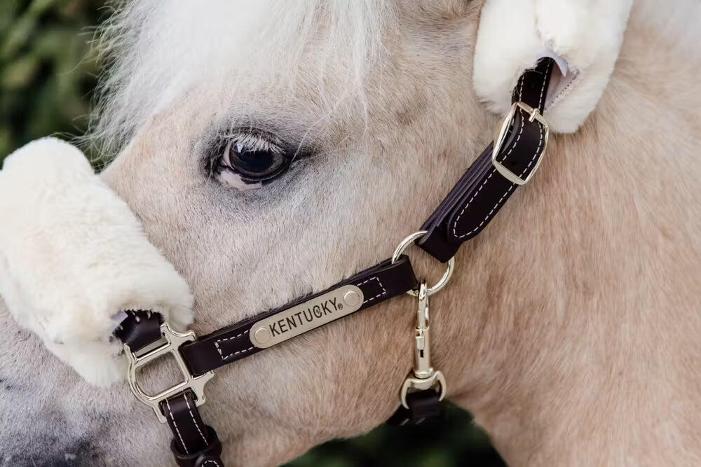 Leather halter sheepskin Pony 2/4