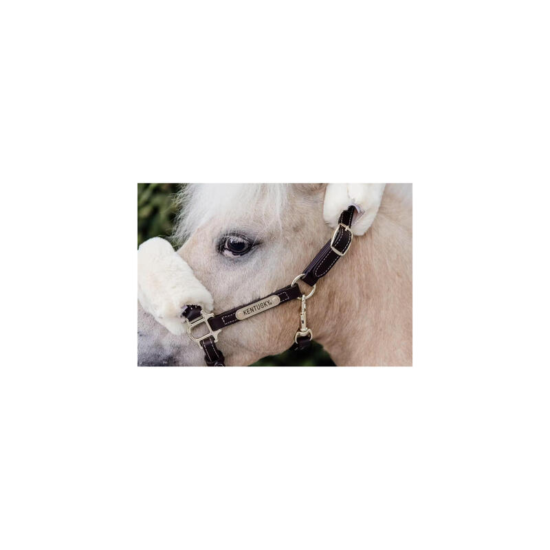 Kentucky Leder Halster + Wol (afneembaar) Bruin -