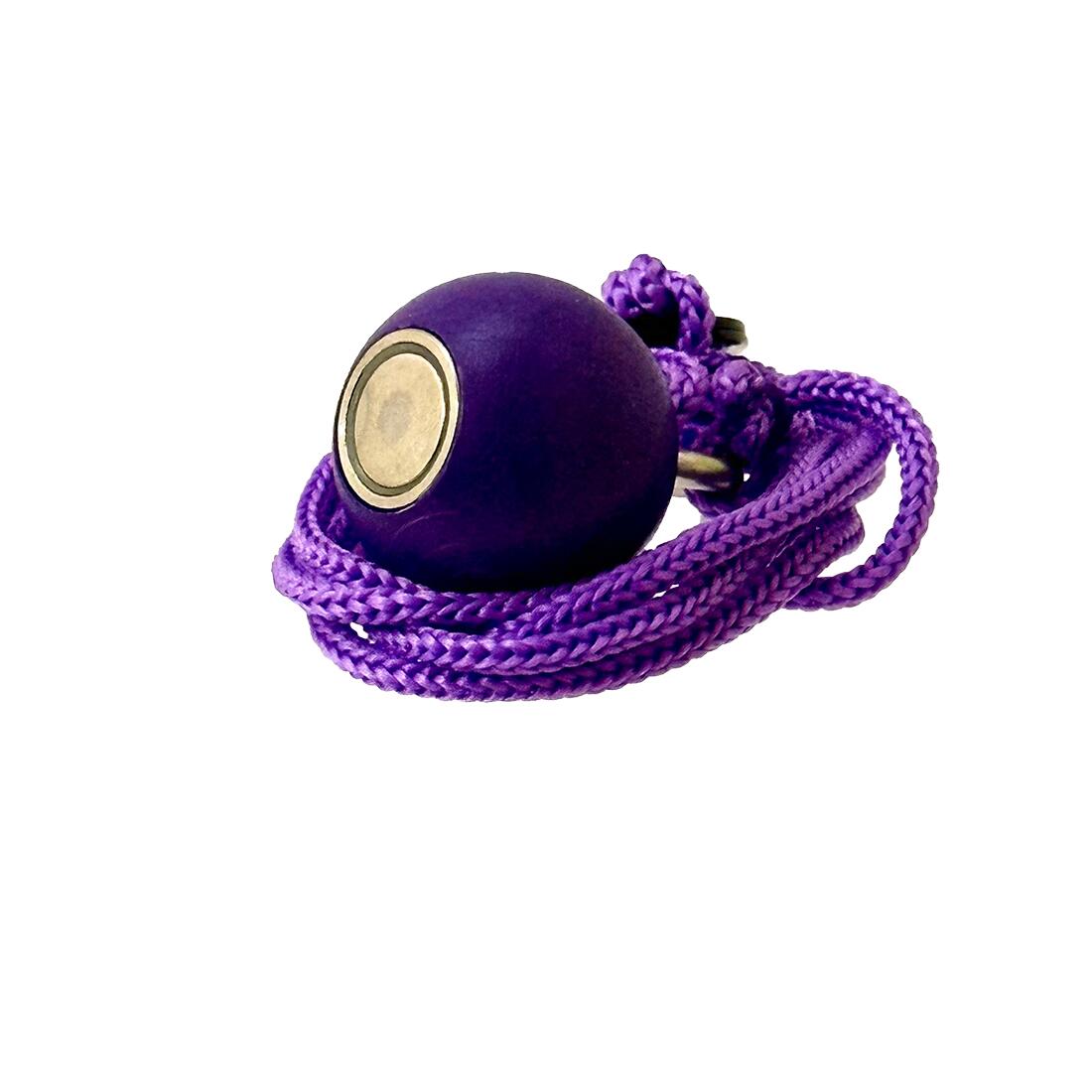 Magneet voor jeu de boules – Kleur violet – Hoge trekkracht – 4 kg 3/5