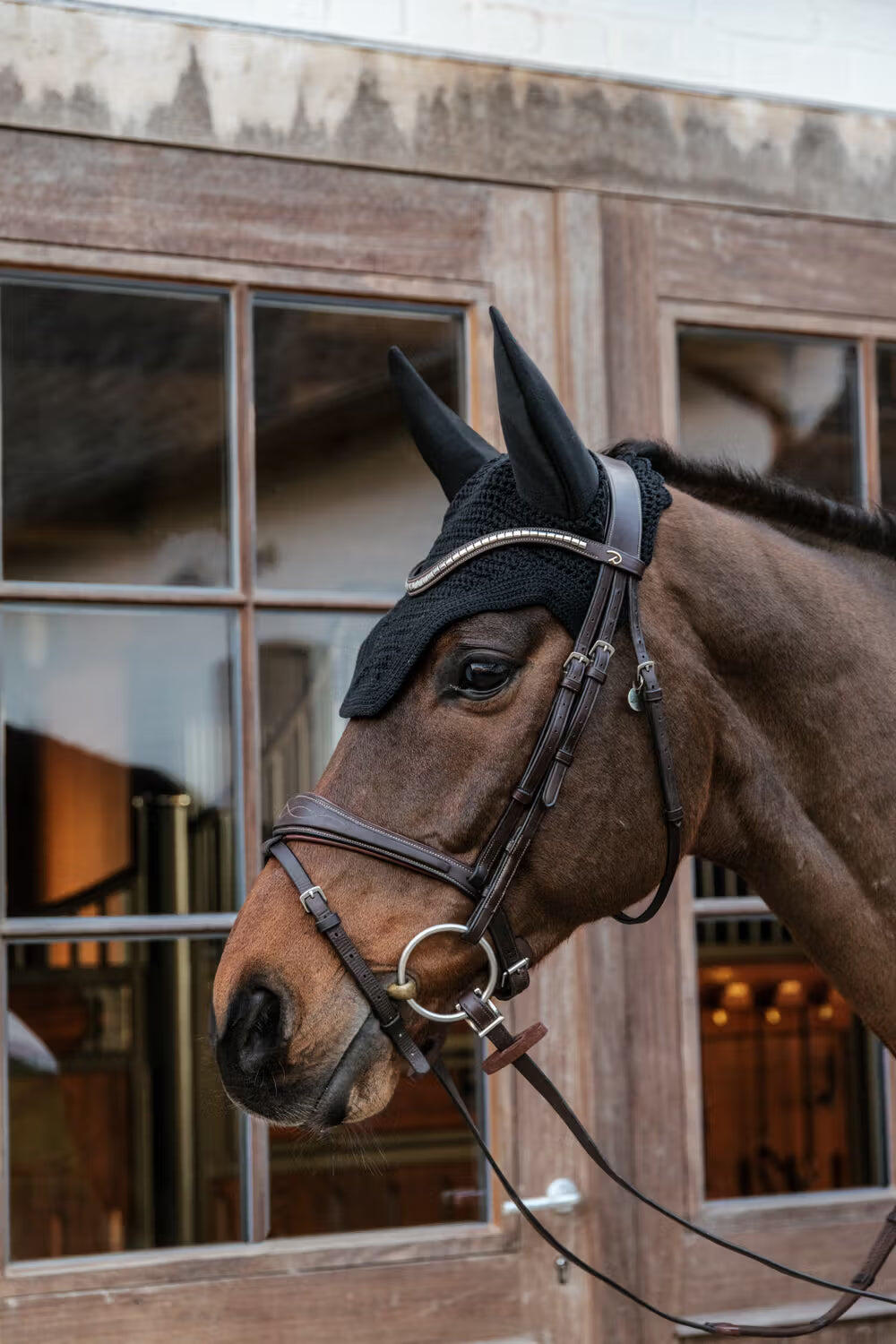 Cuffie per cavalli Kentucky Wellington 7/7