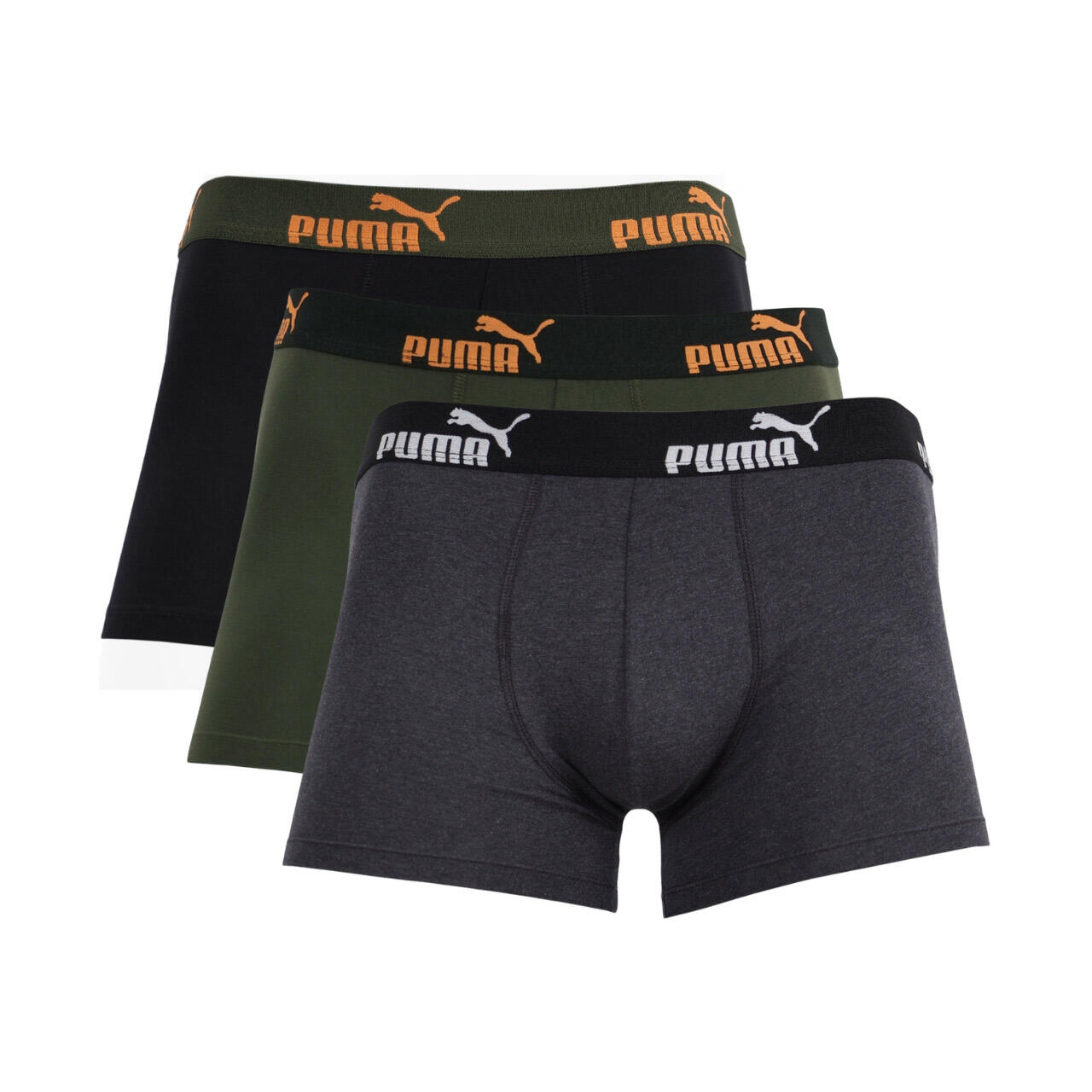 PUMA picture