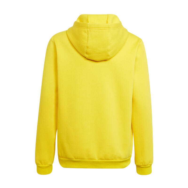 Sweat à capuche Adidas Entrada 22 pour unisexe enfants