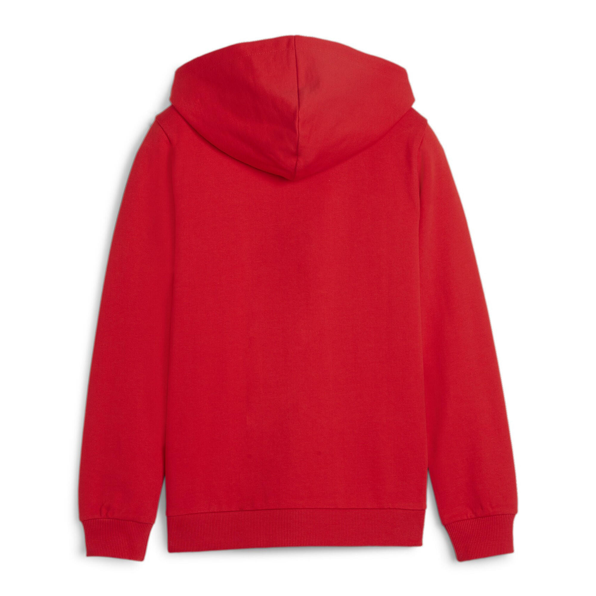 Veste à Capuche PUMA Teamgoal Casuals pour Garçons 2/3