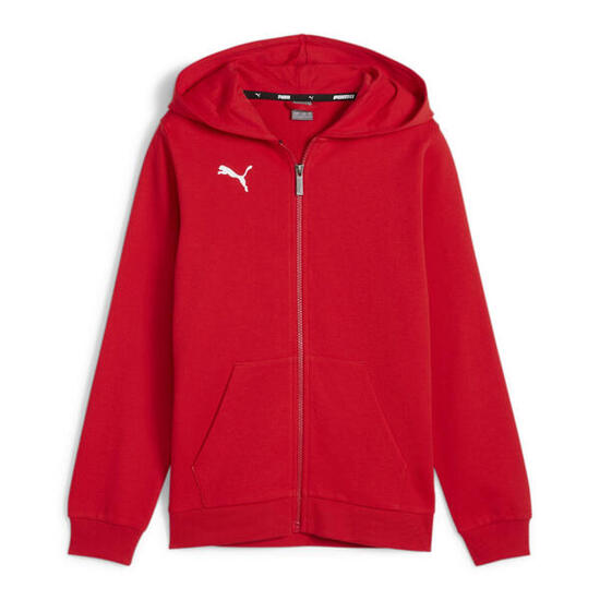 Veste à Capuche PUMA Teamgoal Casuals pour Garçons