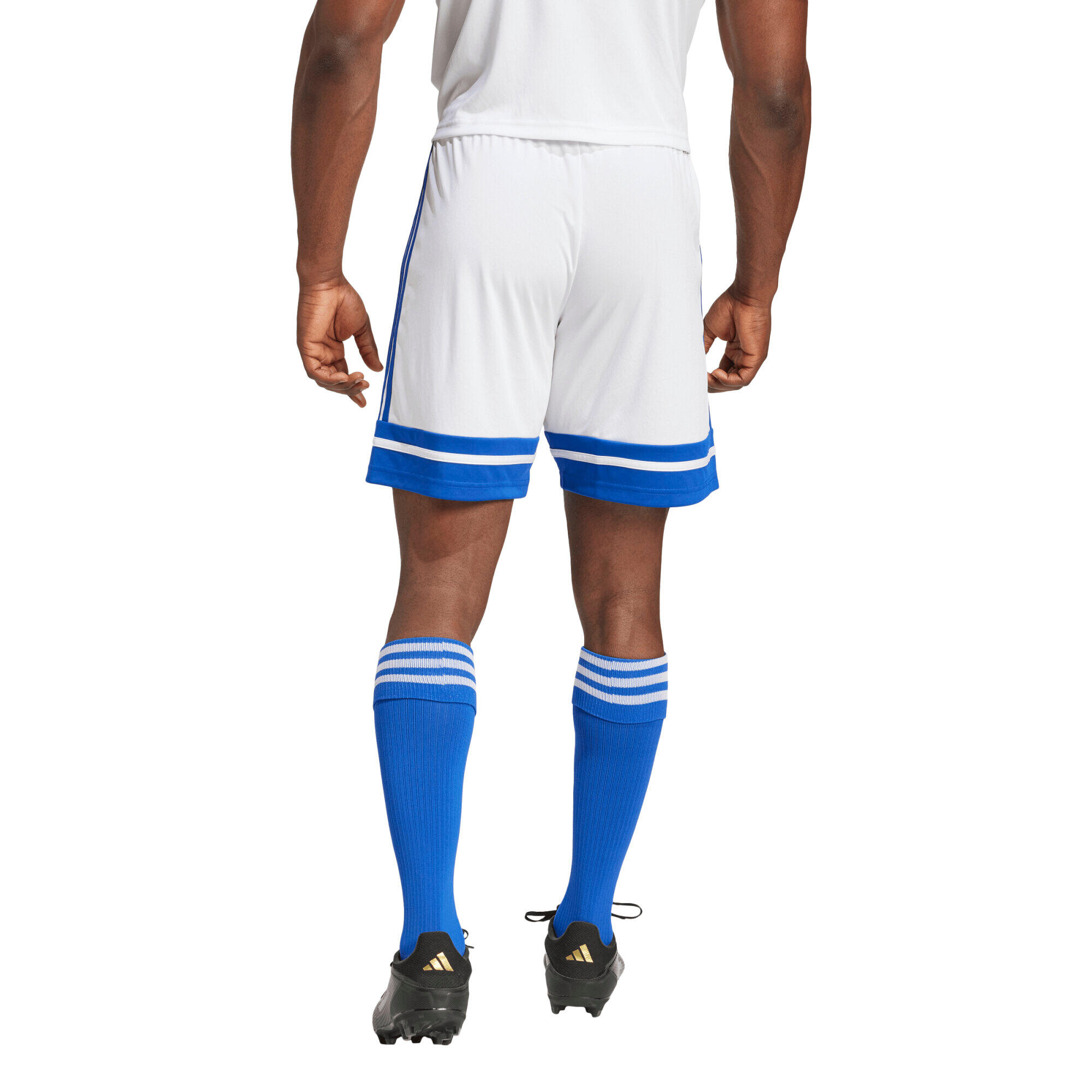 Pantaloni Corti Adidas Sport Squa25 Sho M Adulto 3/7