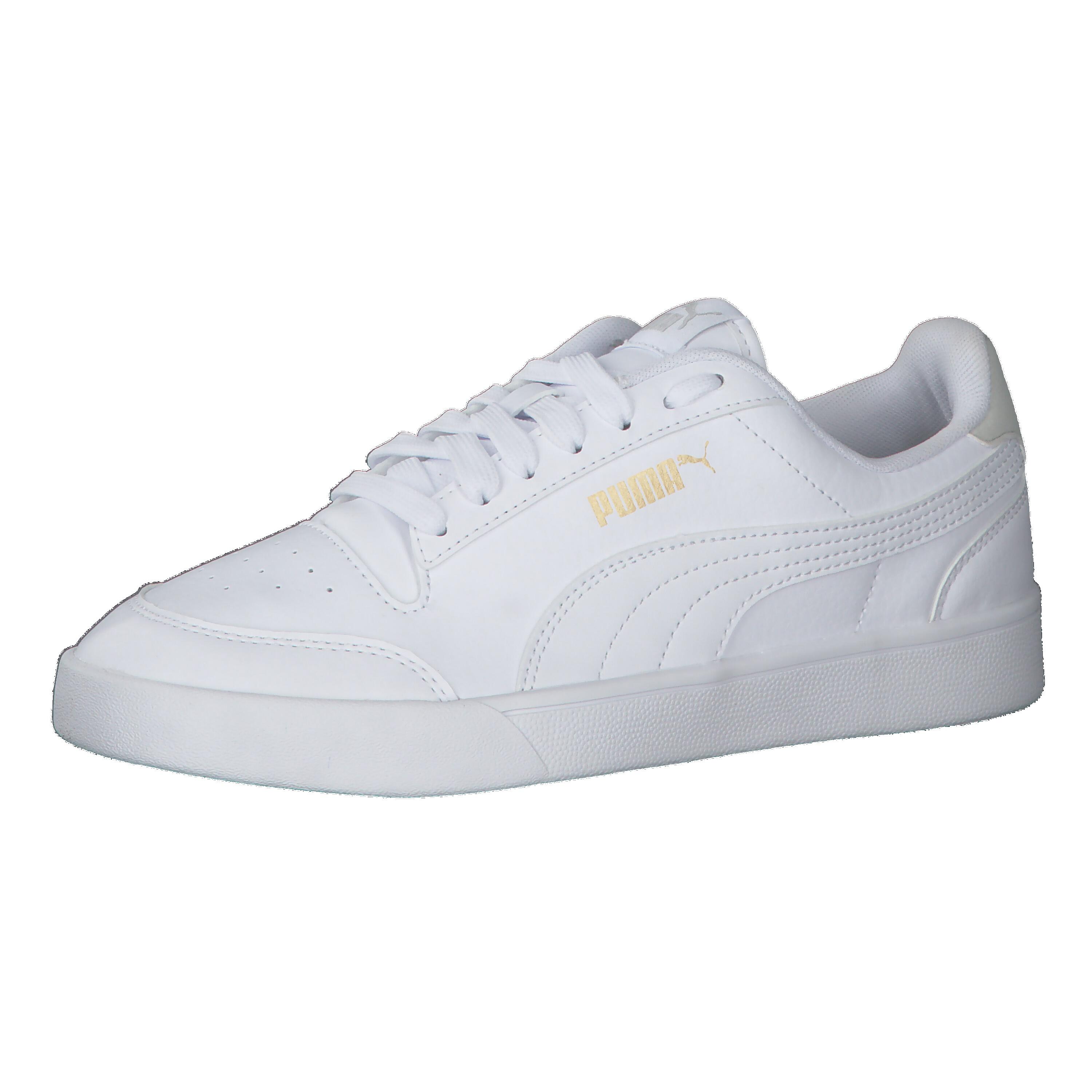 PUMA picture