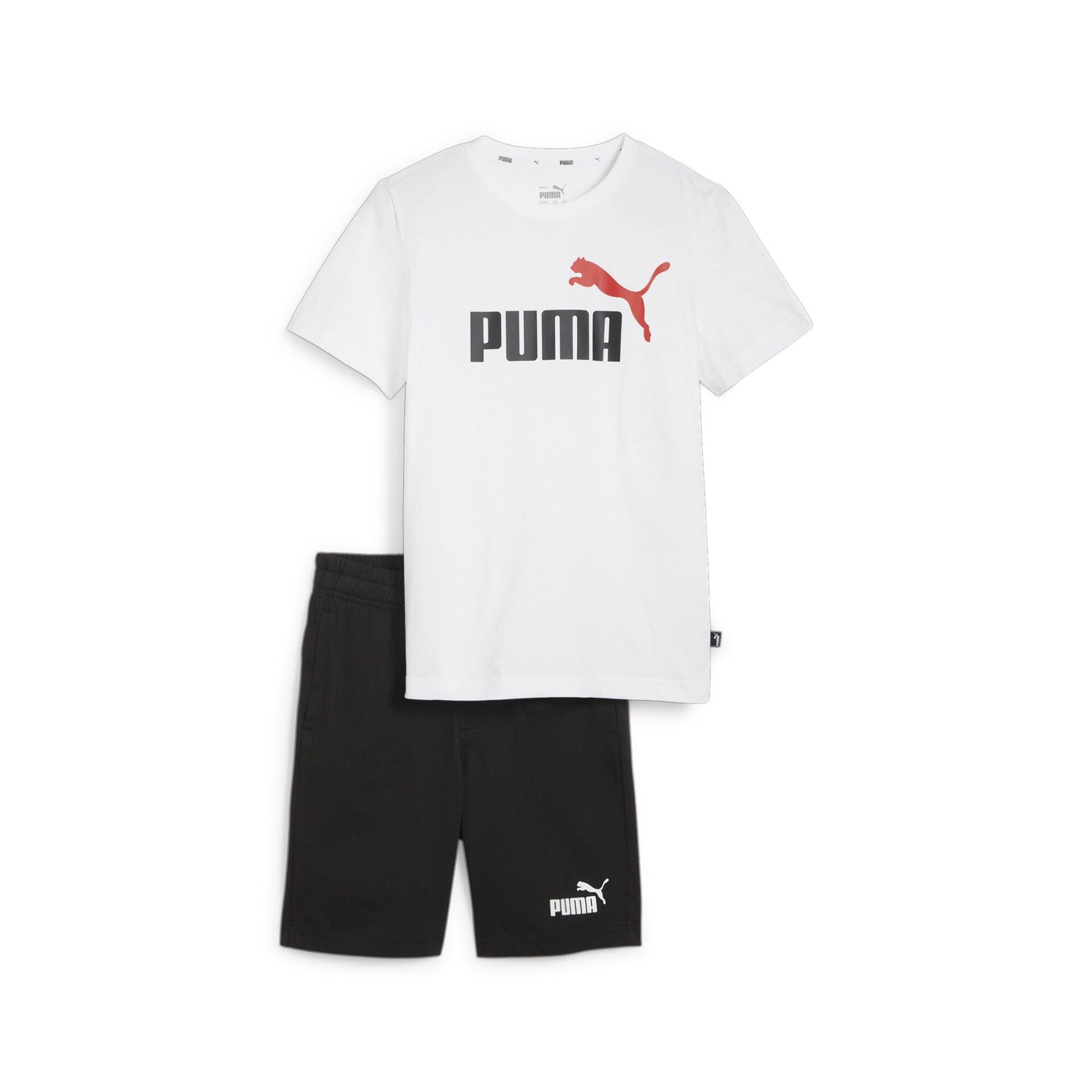PUMA picture