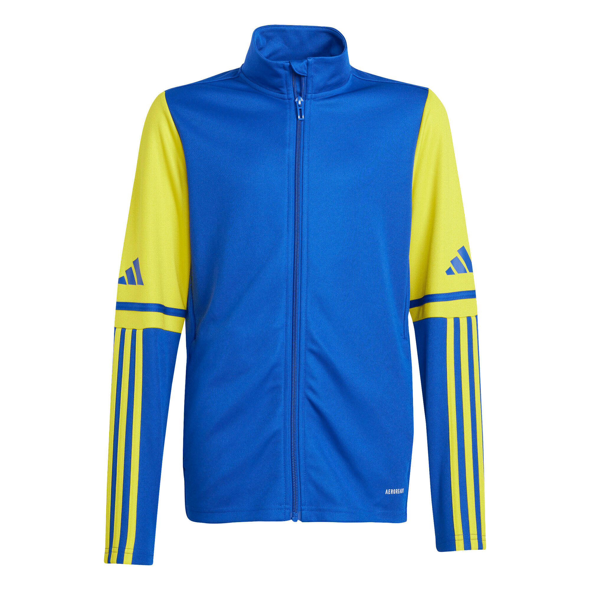 Azul safira / Amarelo