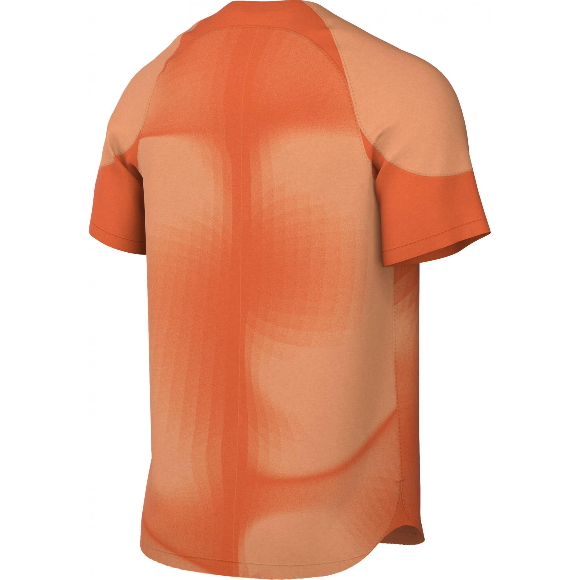 Nike Herren Torwarttrikot Dri-FIT ADV Gardien IV DH7760 2/4