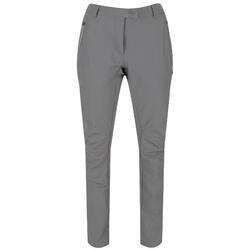 Pantalon De Randonnée HIGHTON Femme (Gris)