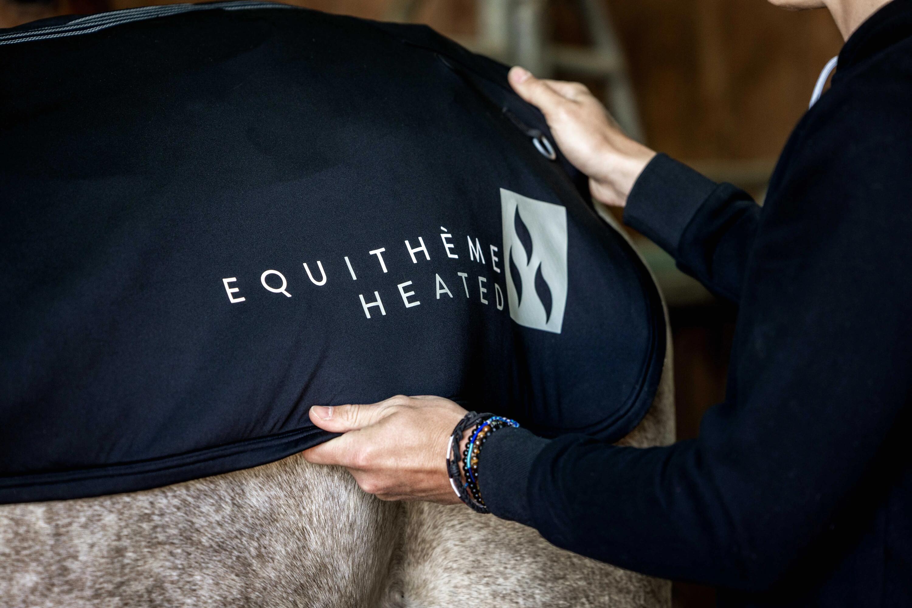 EQUITHÈME picture