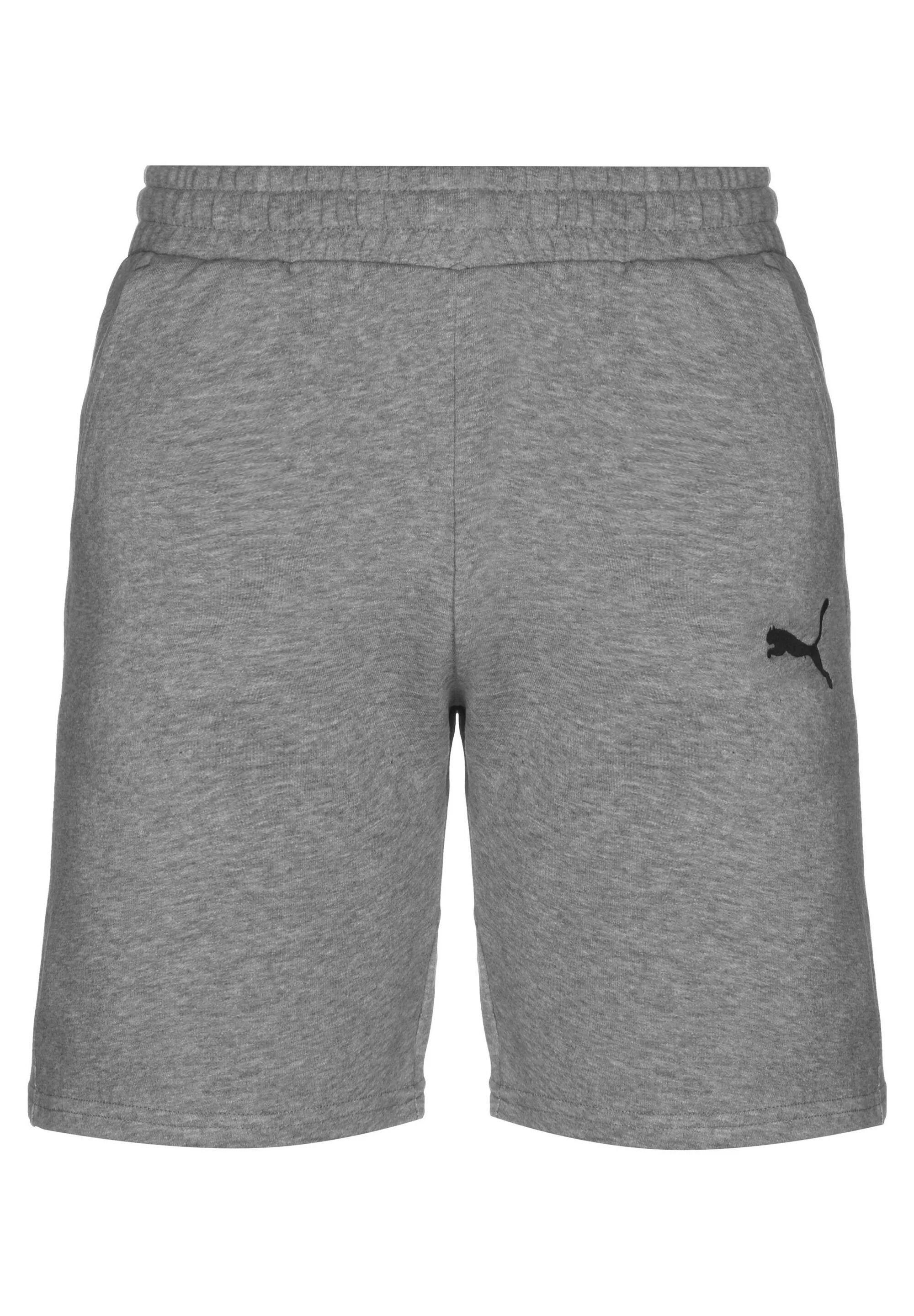 Spodenki męskie Puma TeamGOAL 23 Casuals Shorts szare