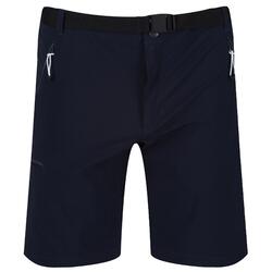 Short XERT Homme (Bleu Gris)
