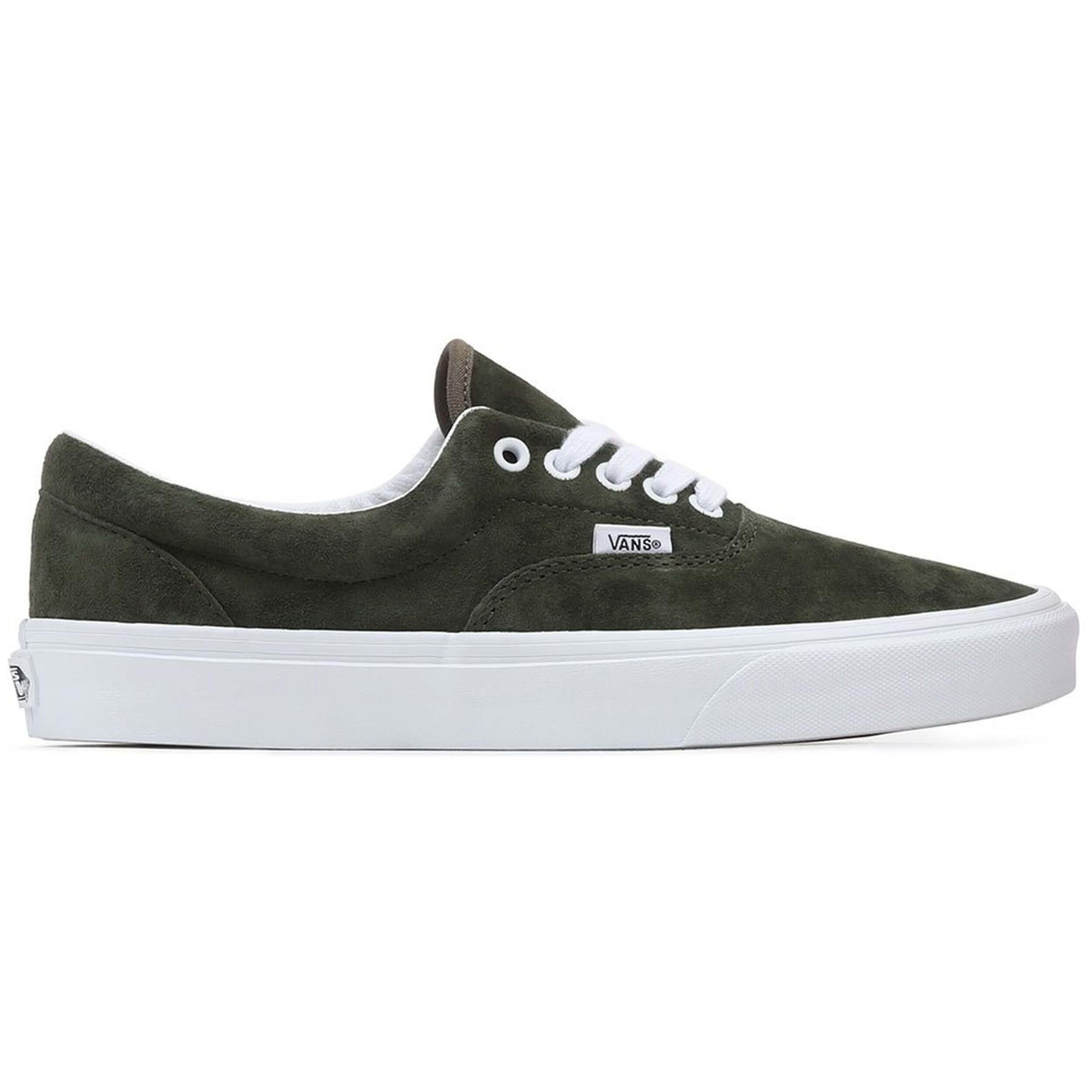 VANS picture