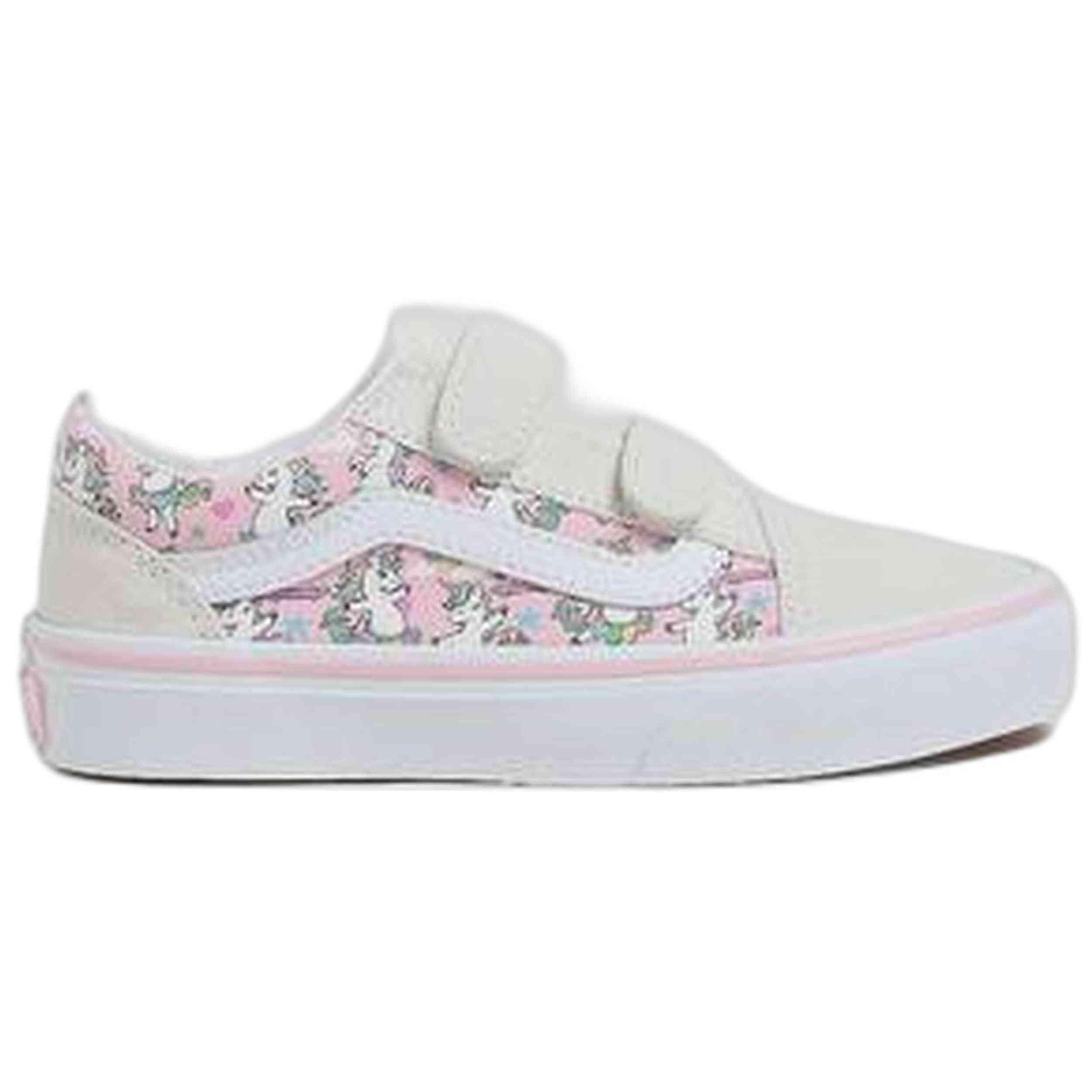 VANS picture