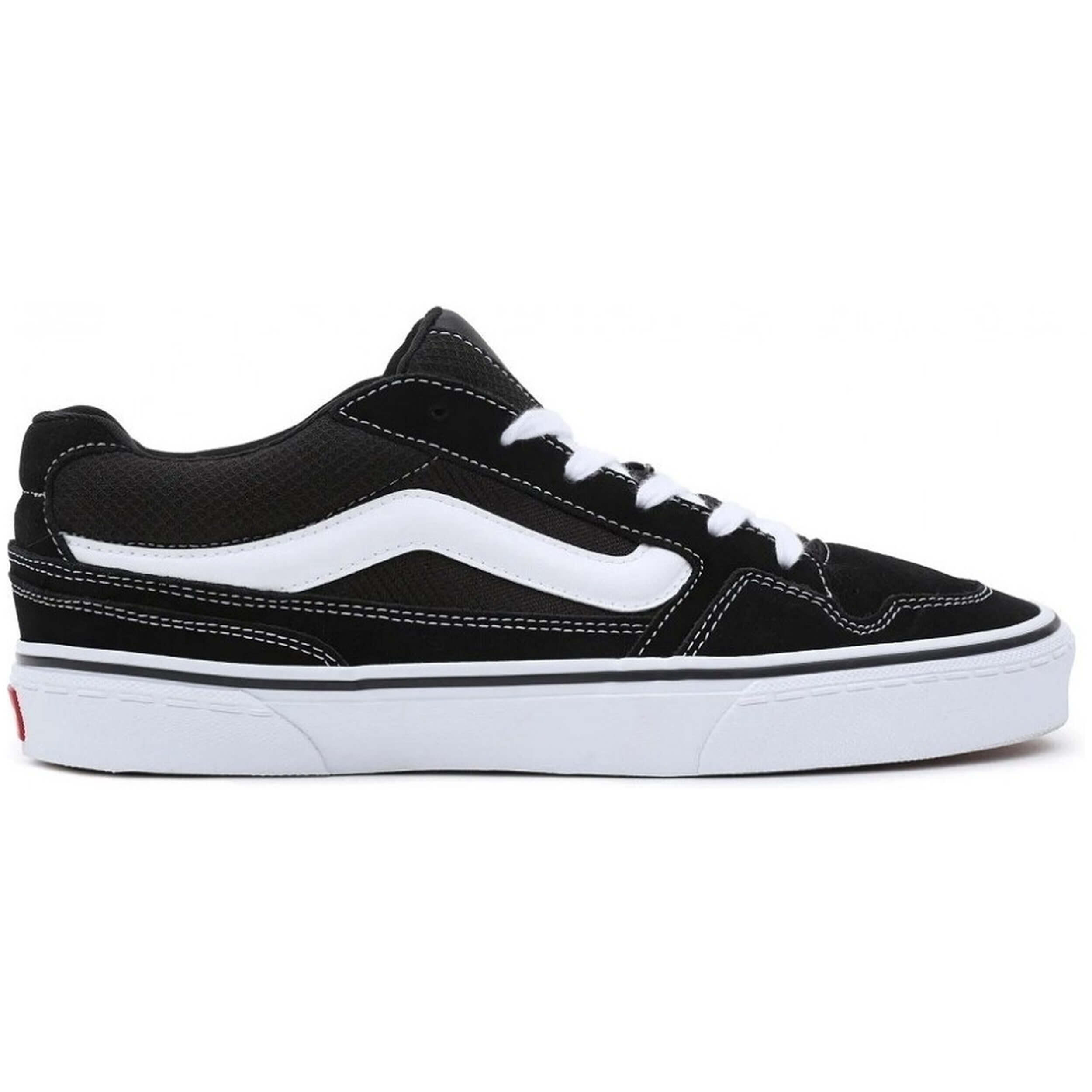 VANS picture