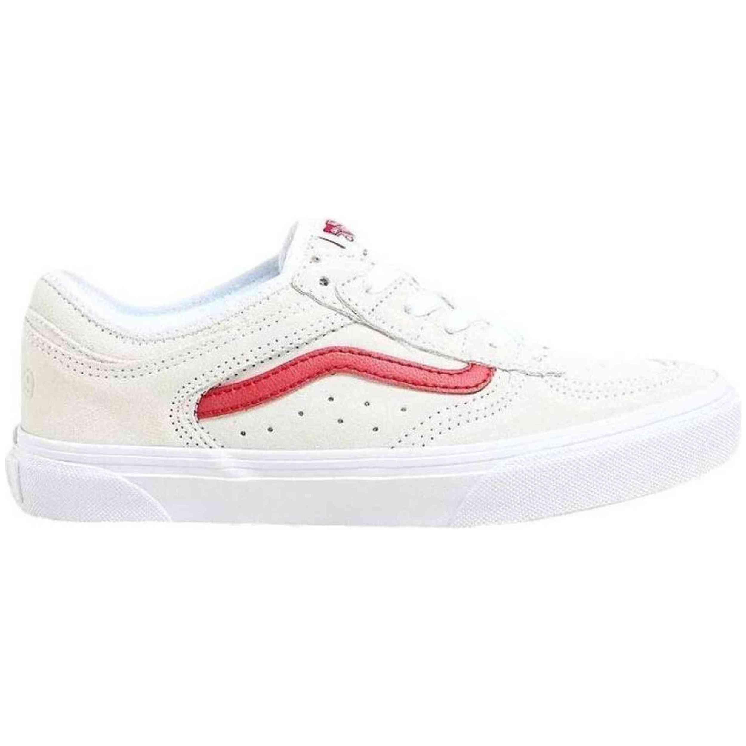 VANS picture