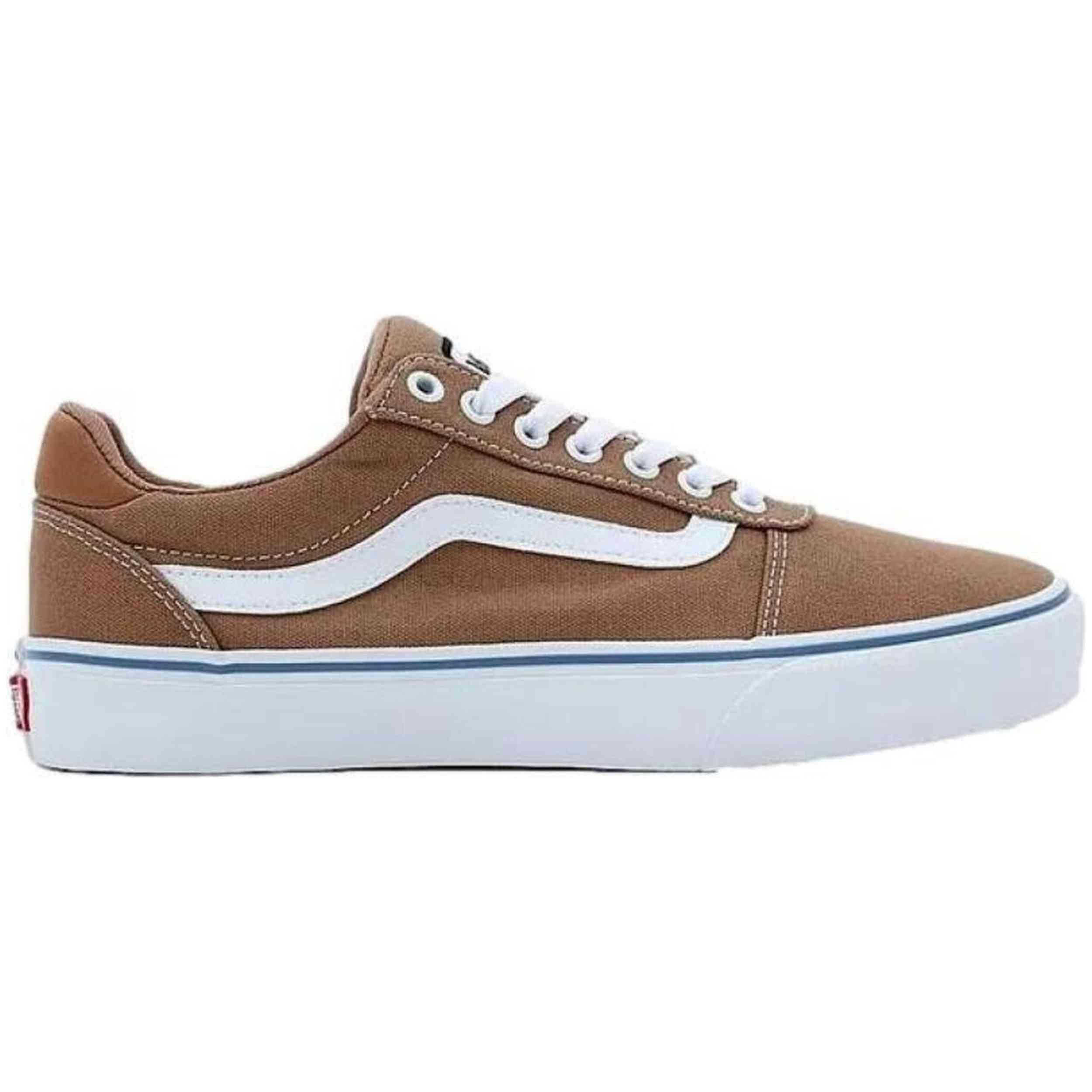 VANS picture