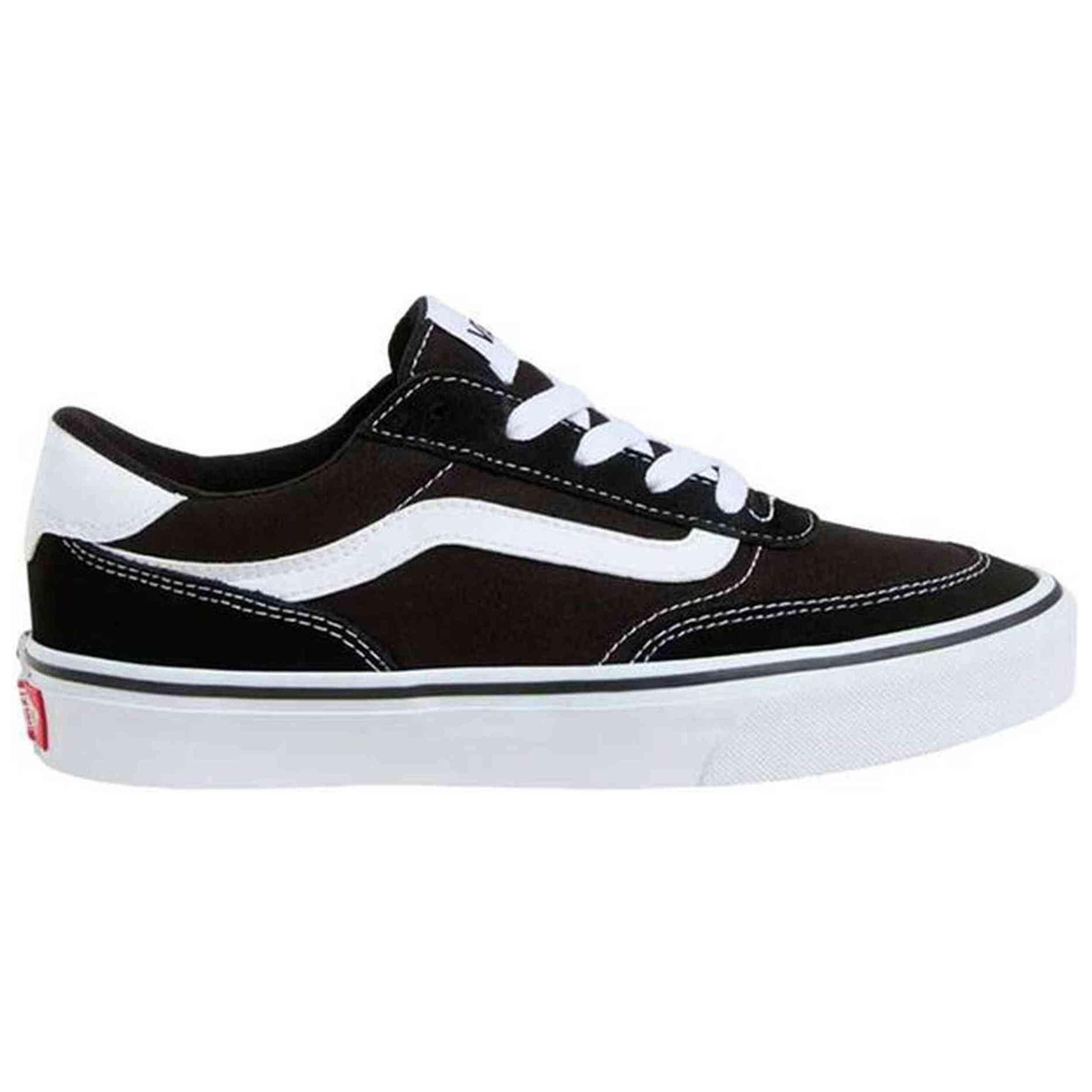 VANS picture