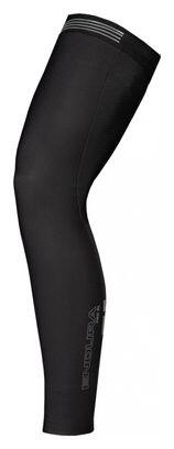 ENDURA picture