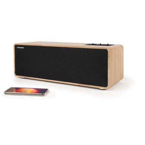 Altoparlante Bluetooth Portatile THOMSON