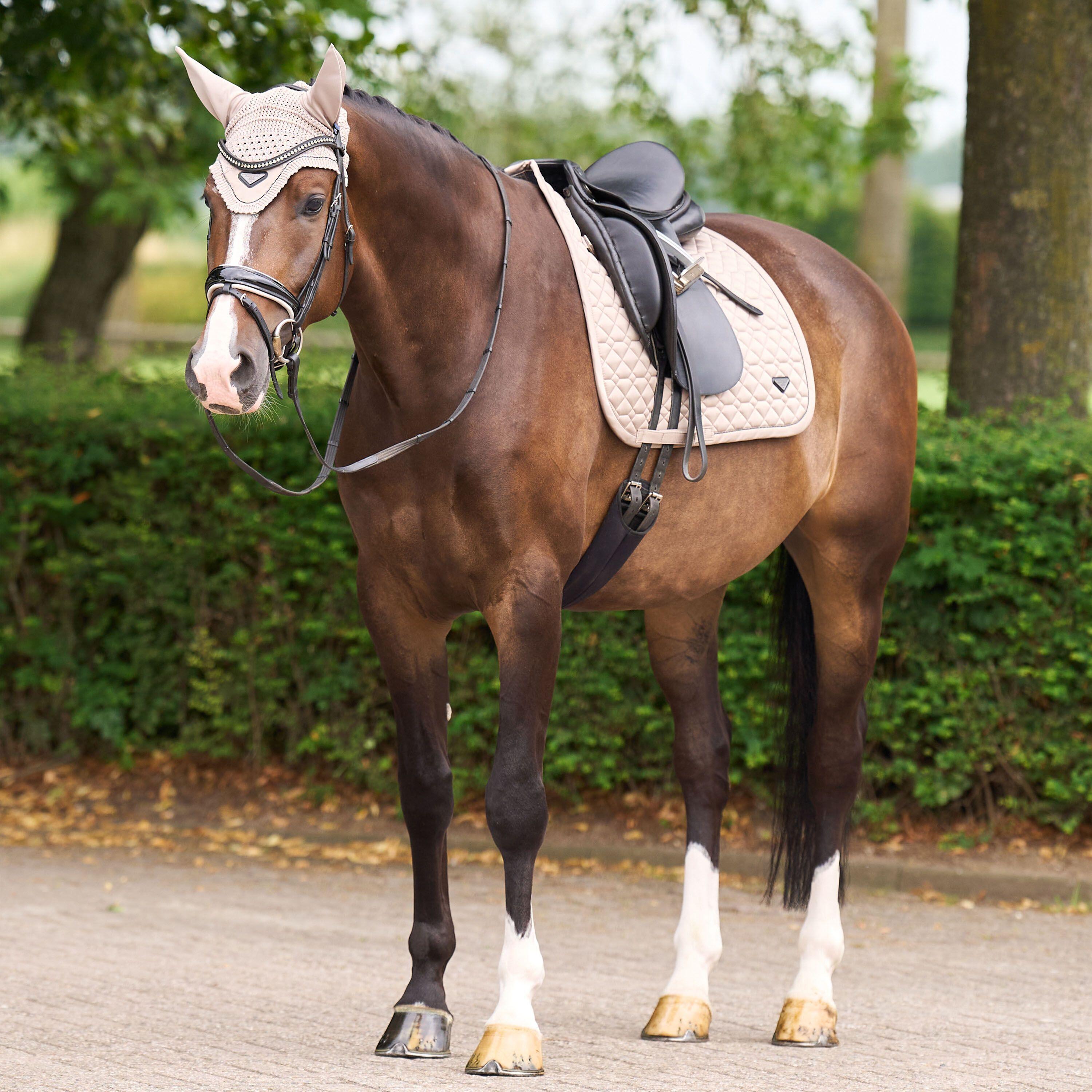 Orejeras para caballo anti moscas Euro-Star Cato 3/4