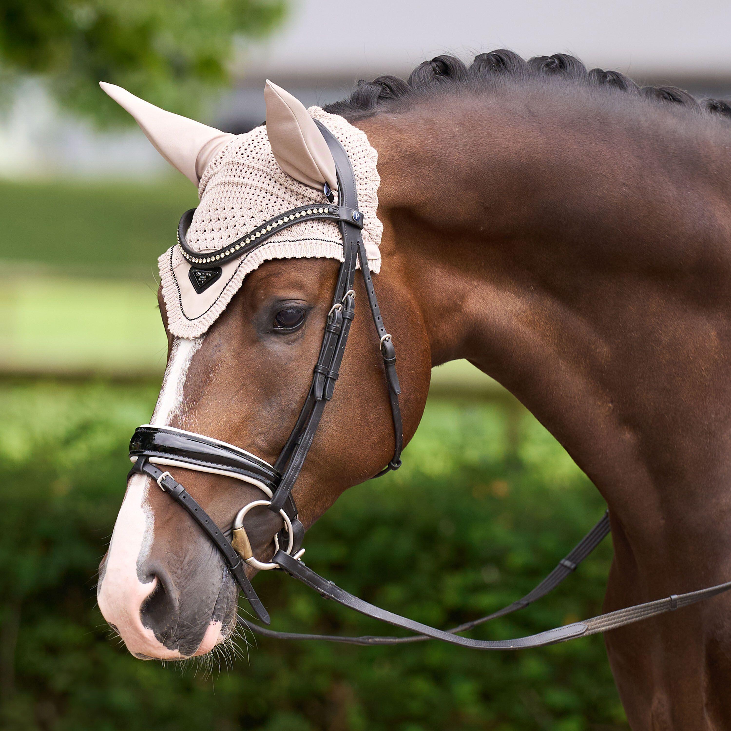 Orejeras para caballo anti moscas Euro-Star Cato 2/4