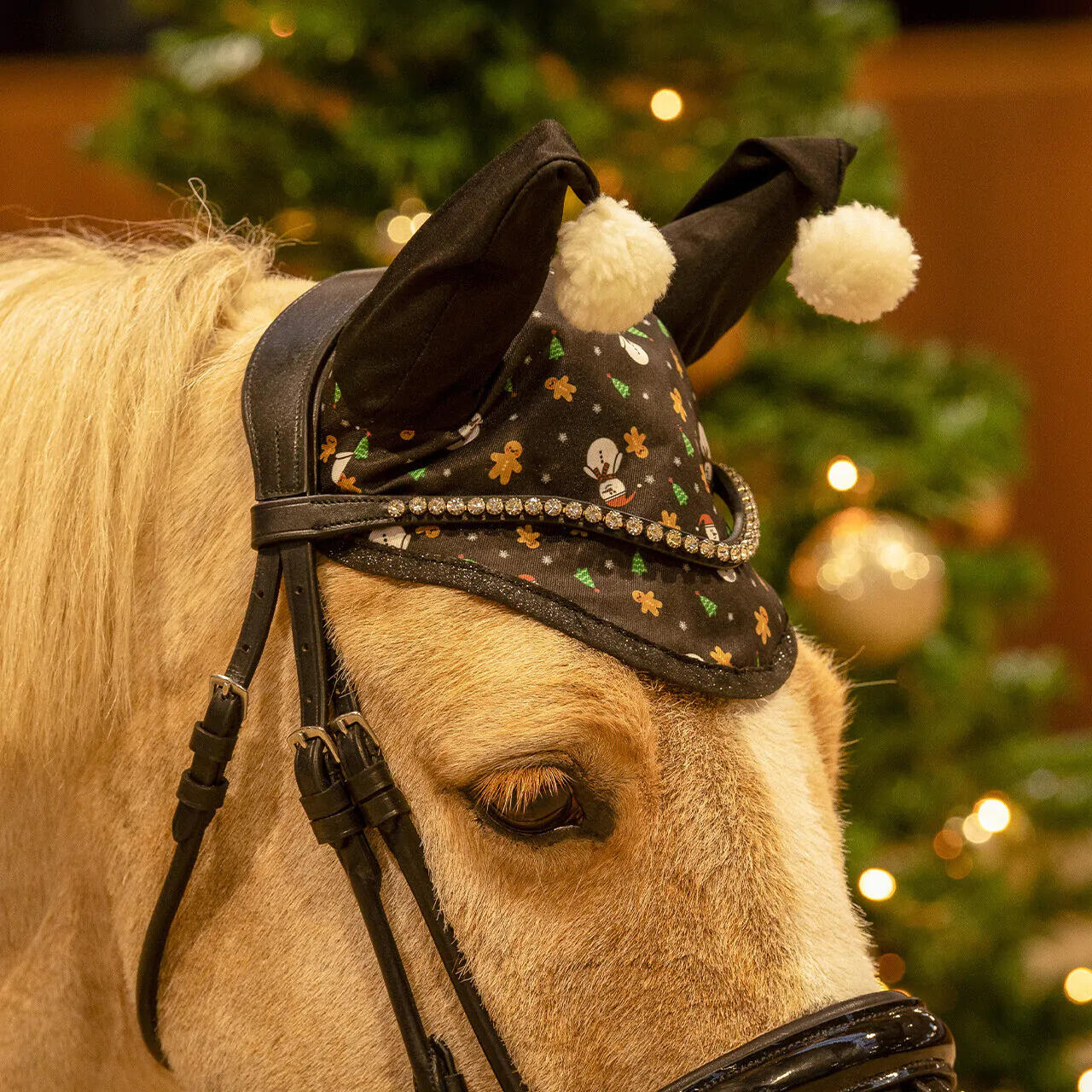 Korte hoed voor paarden QHP Noël 3/3