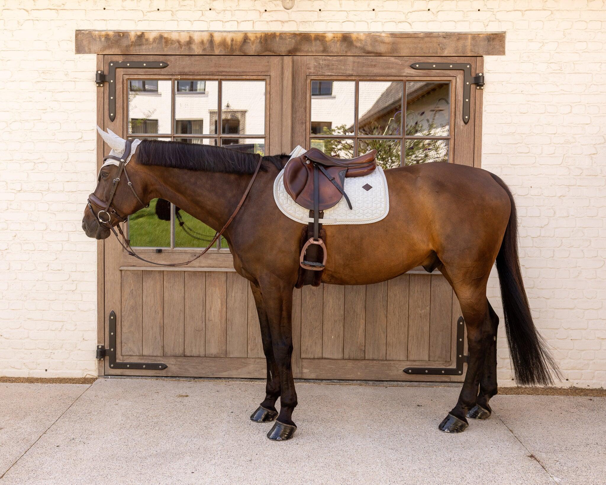 Sottosella Kentucky Horsewear 2/5