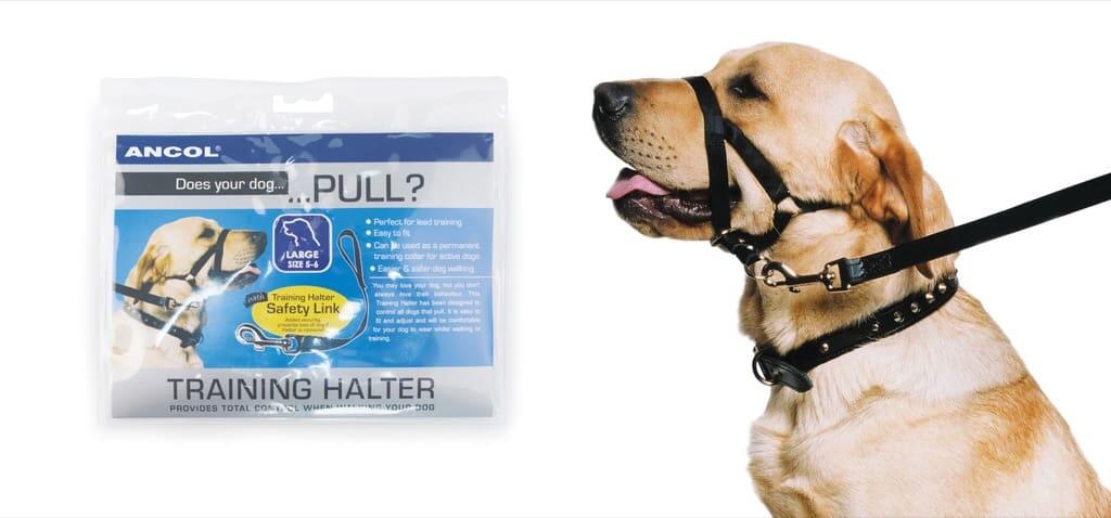 Licol d'éducation pour contrôler le chien Taille S 1/2 3/7