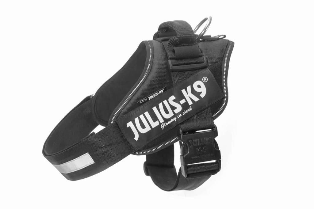 Harnais IDC®Power XLARGE noir 3/7