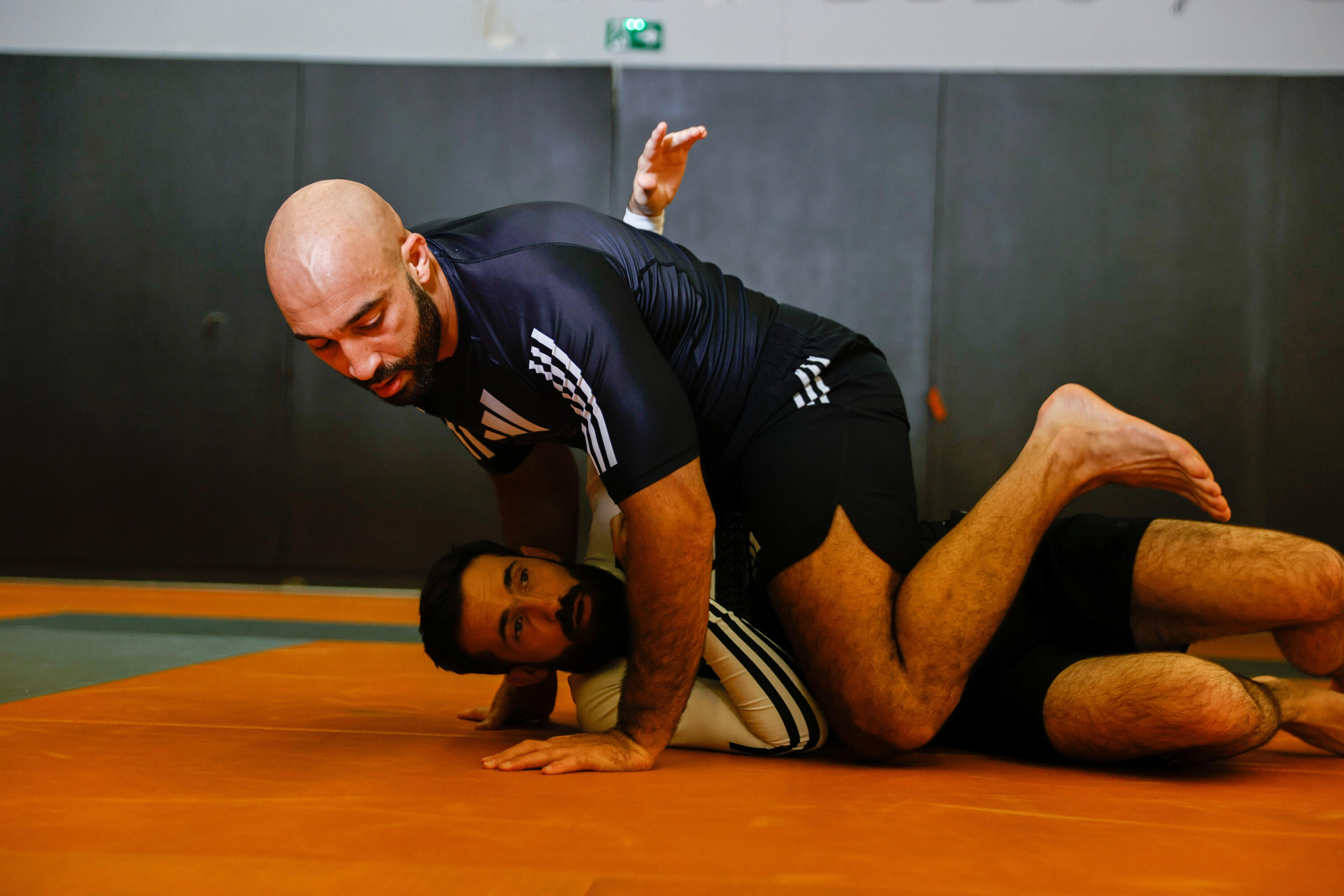 Short vale tudo adidas pour le JJB 4/5