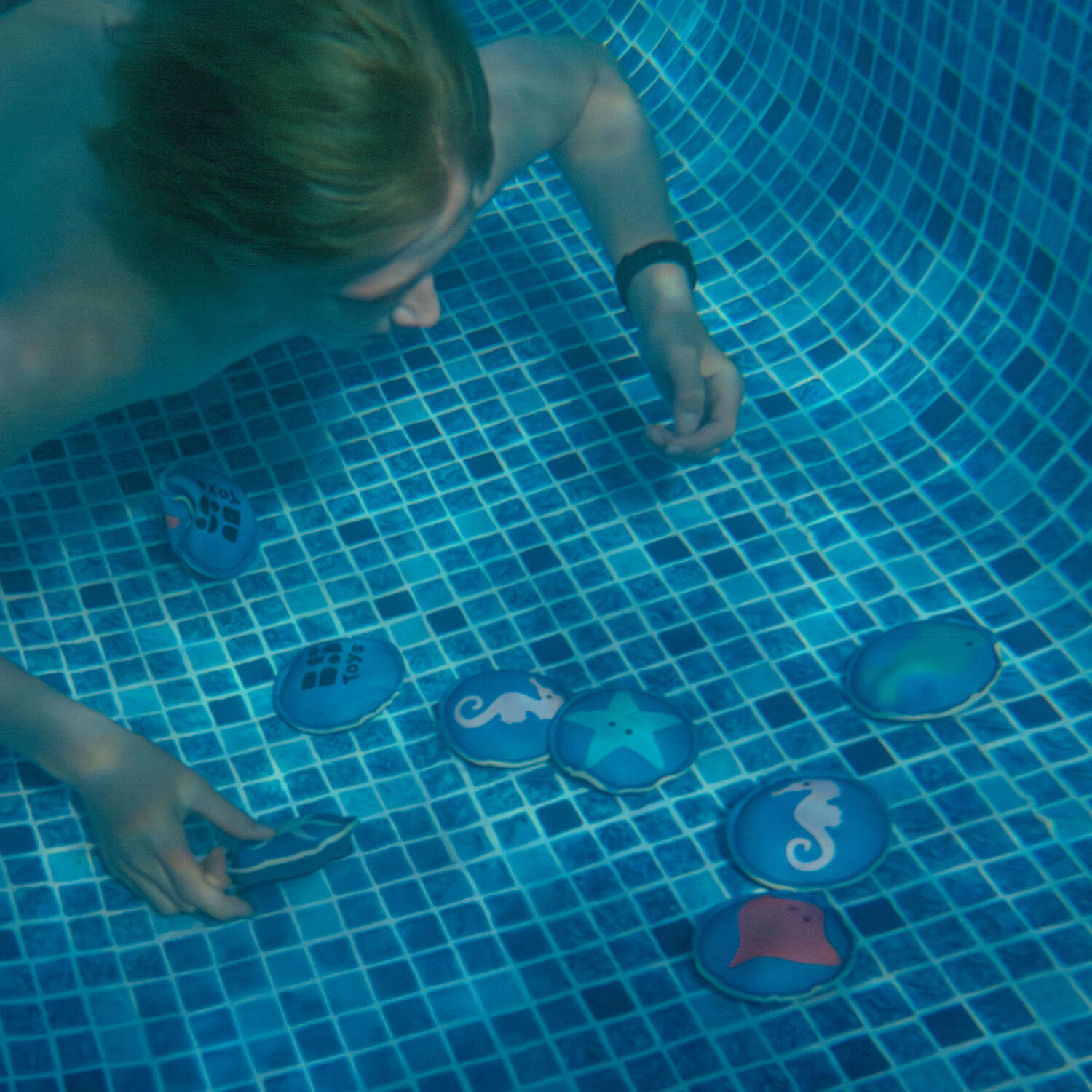Jeu de piscine – 12 Animaux Marins à plonger – dès 6 ans 2/3