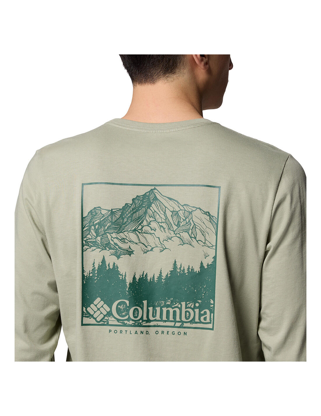 COLUMBIA Csc Seasonal Logo Ls Tee - Maglietta 5/5