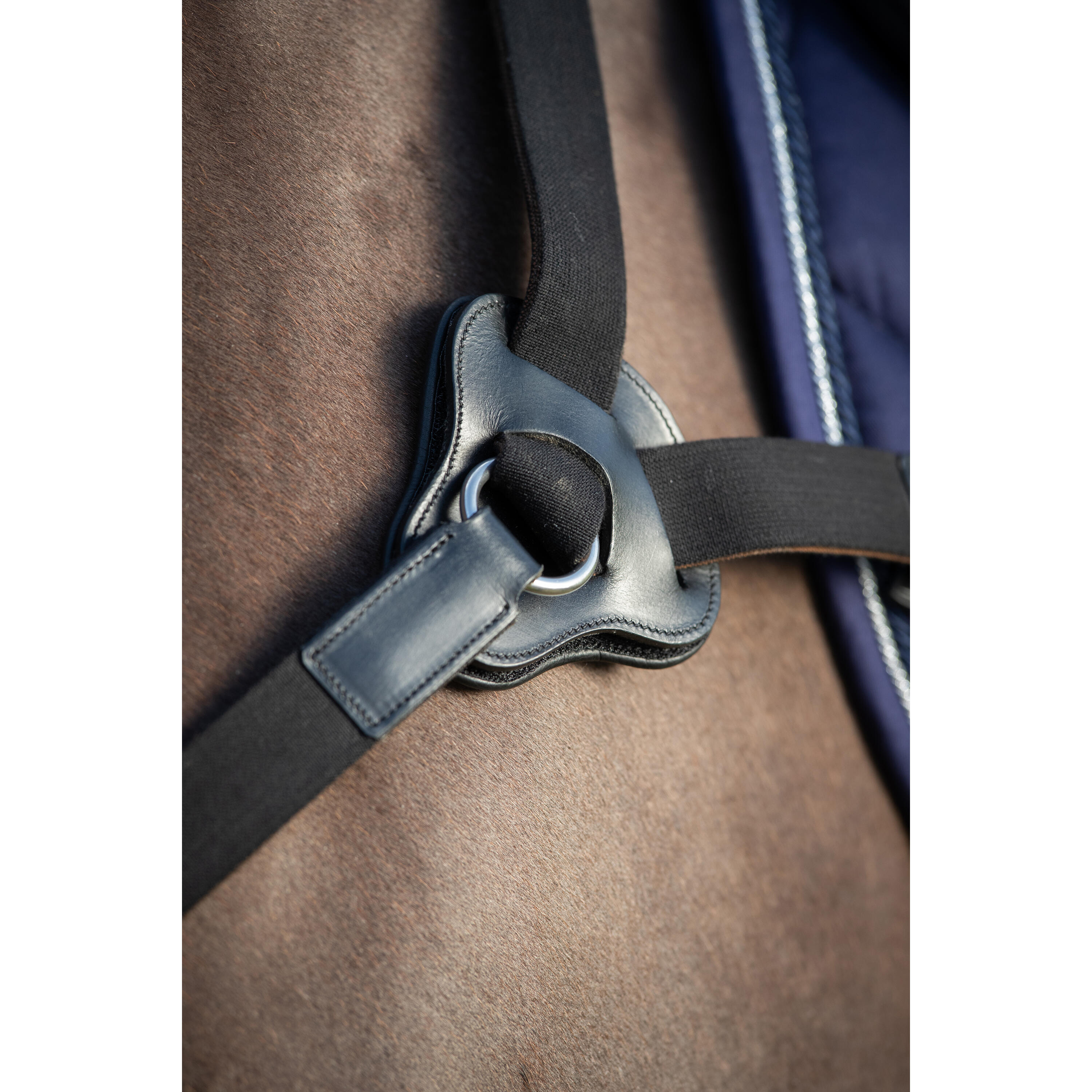Jachthalsband voor paarden HFI 5 Points 2/2