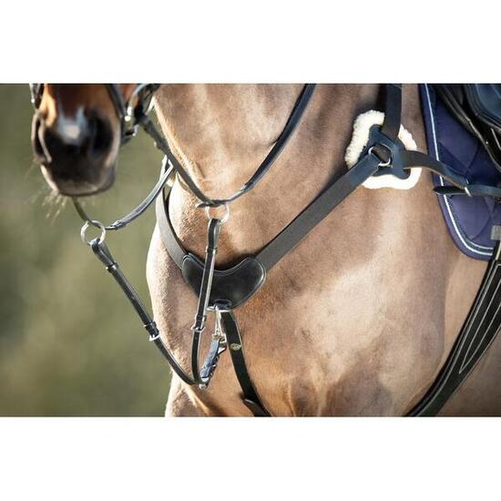 Vorderzeug für Pferde HFI 5 Points