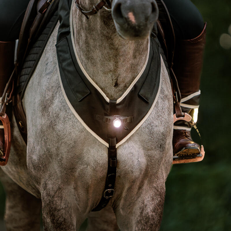 Collier de chasse pour cheval Kavalkade Horselight 2/3
