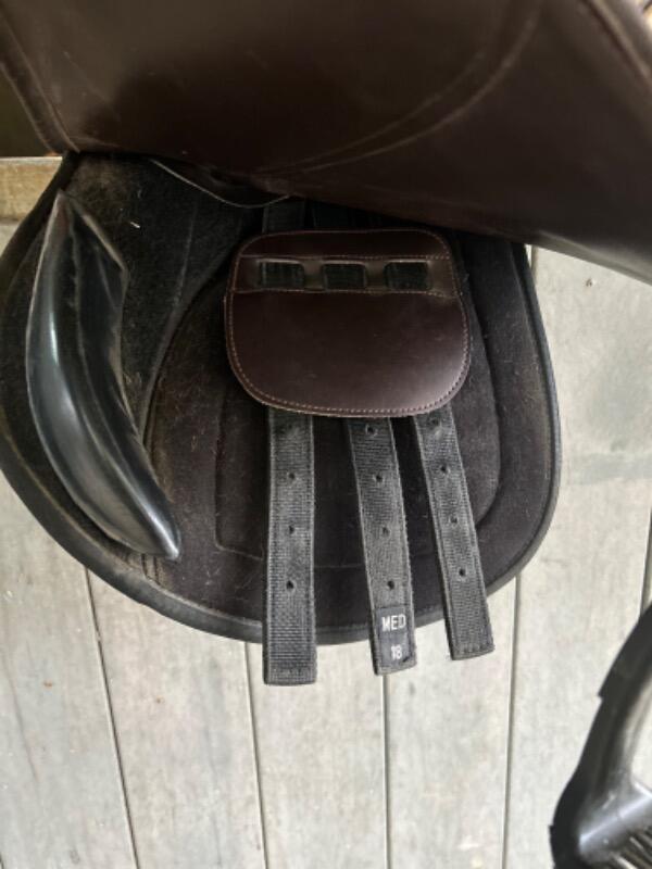 Entre Particuliers - Selle équitation 4/5