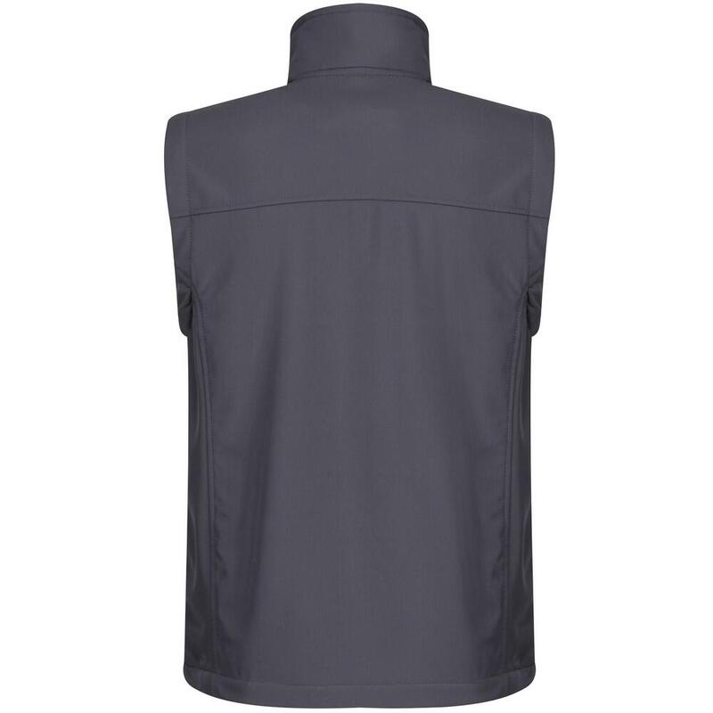 Veste Sans Manches Homme (Gris)