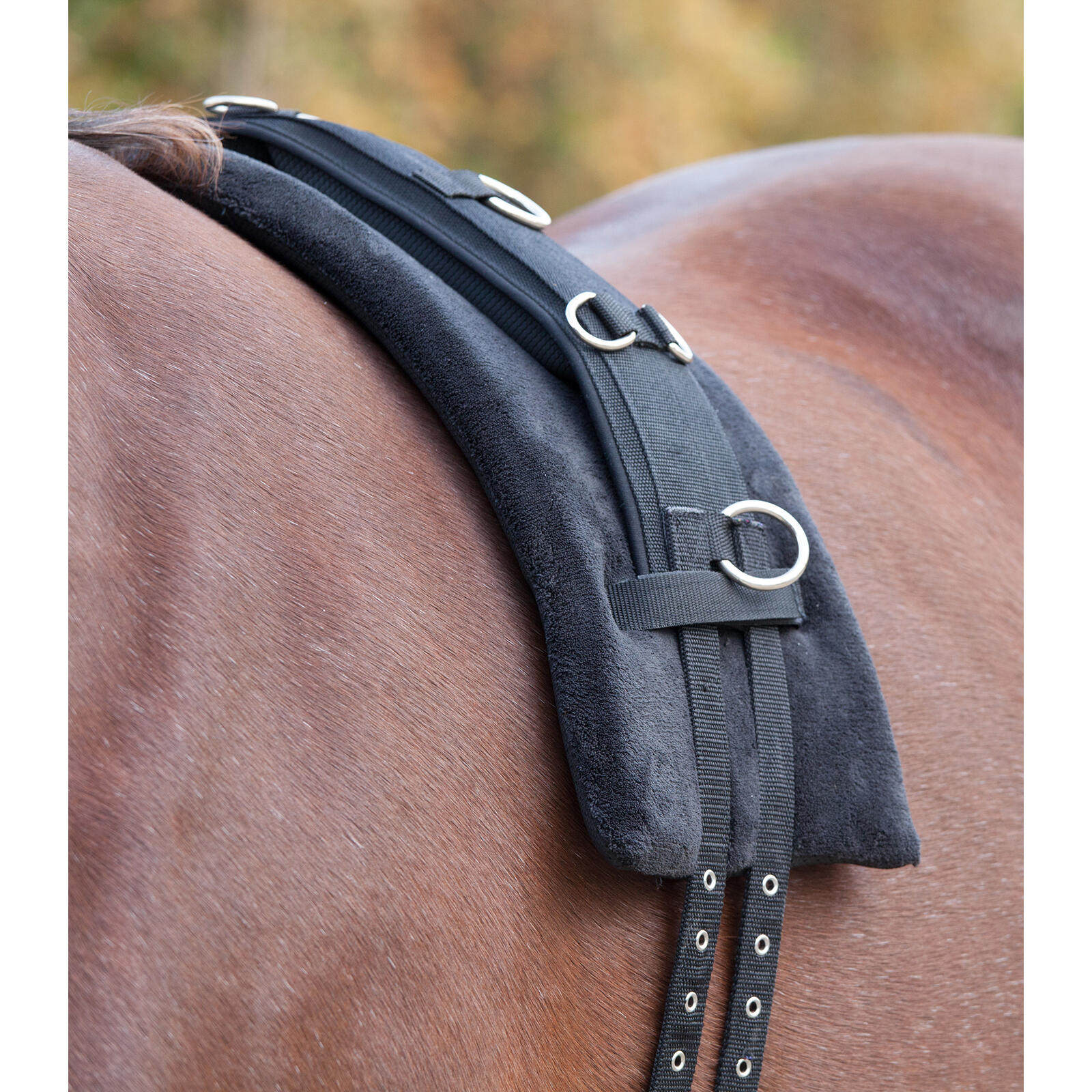 Waldhausen - Tapis De Surfaix Équitation En Mousse Waldhausen - Surfaix - Noir - Fs - Decathlon