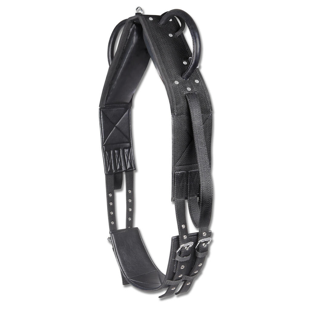 Synthetic vaulting surcingle for horses Waldhausen