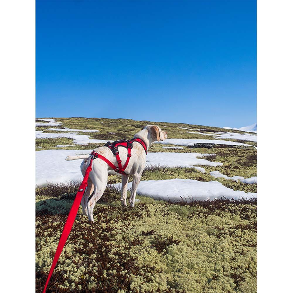 Longe de traction polyvalente réglable pour chien CONFORT TREK canirando 3/8
