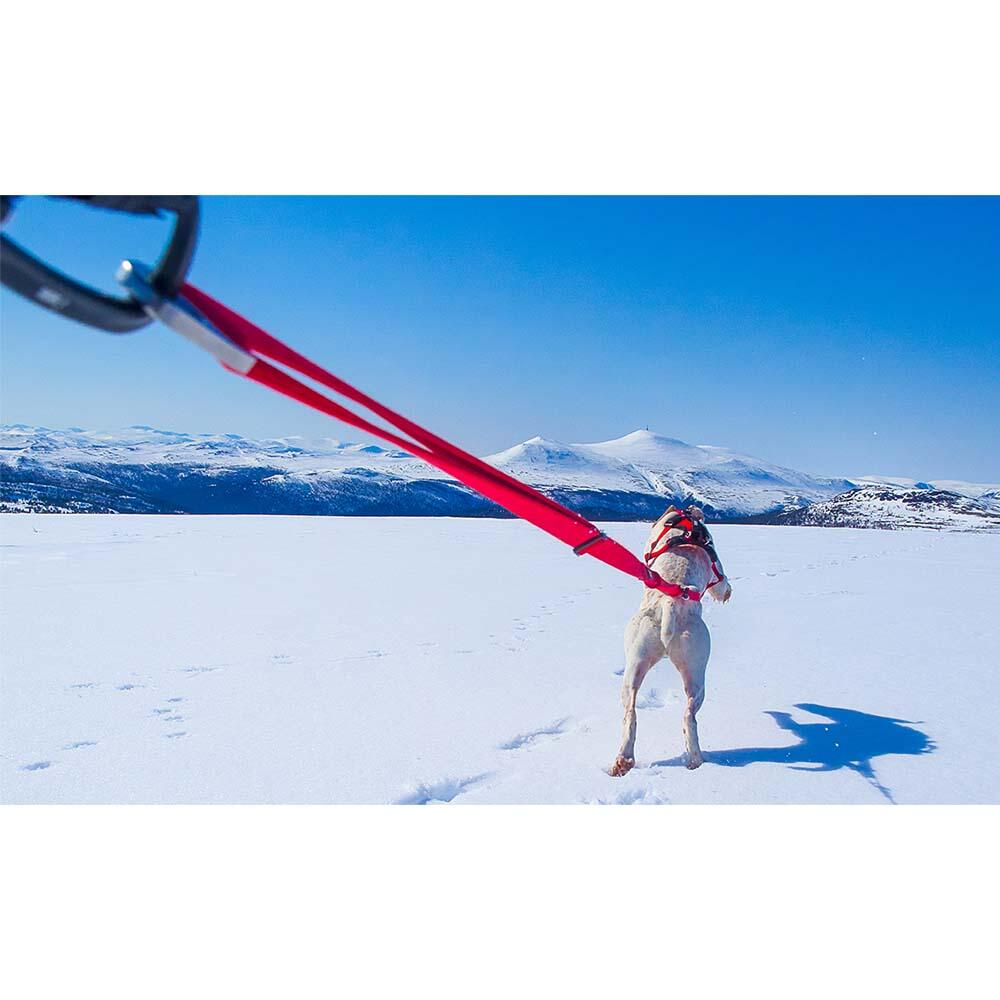 Longe de traction polyvalente réglable pour chien CONFORT TREK canirando 5/8