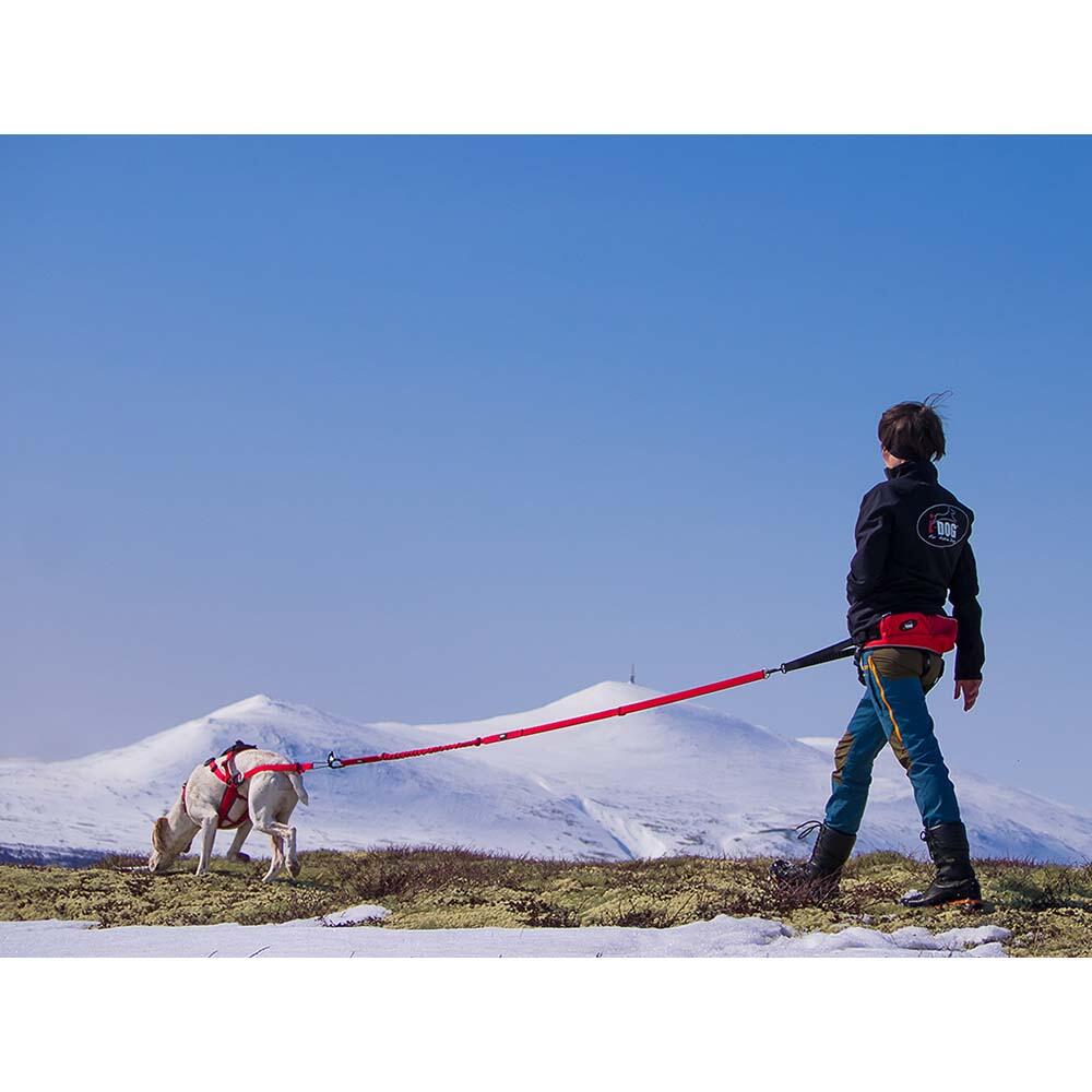Longe de traction polyvalente réglable pour chien CONFORT TREK canirando 4/8